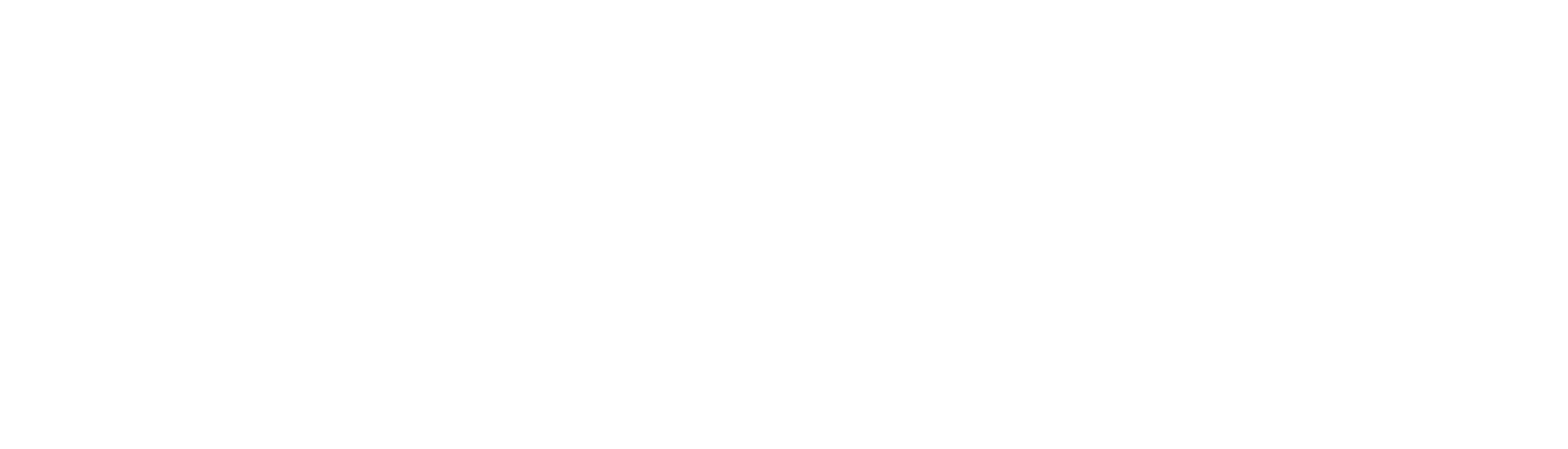 Poki Pet